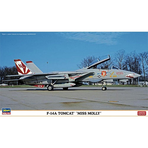 BH02123 1/72 F-14A Tomcat VF-111 “MISS MOLLY”