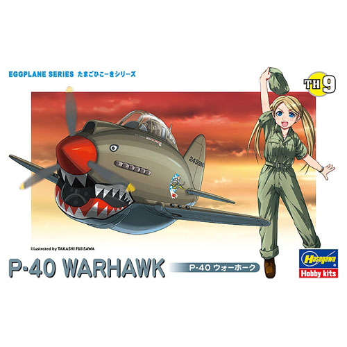 BH60119 TH9 Egg Plane P-40 Warhawk