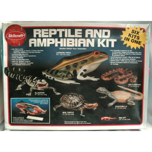 BK4629 Reptile and Amphibian kit (개구리 악어 거북이 도마뱀 도룡뇽 방울뱀 모형)