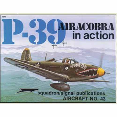 ES1043 P-39 IN ACTION