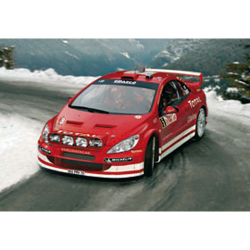 BG80753 1/24 Peugeot 307 WRC &#039;04